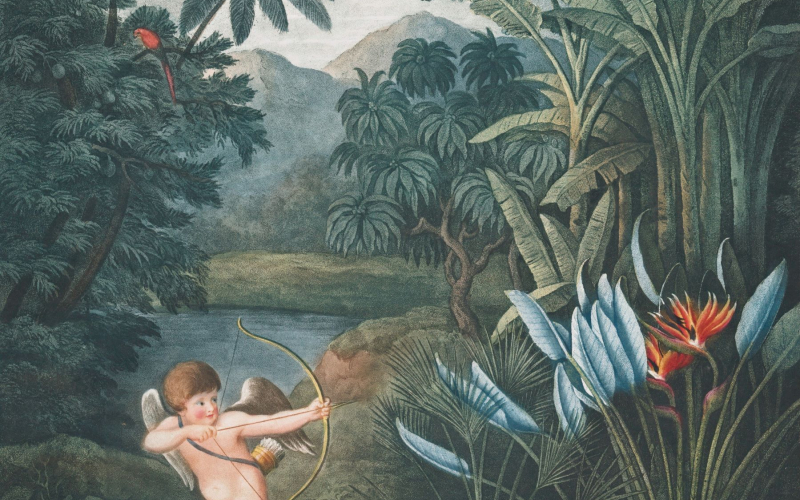 1 Cupid inspiring plants with love, 1807. Artist Philip Reinagle. The New York Public Library